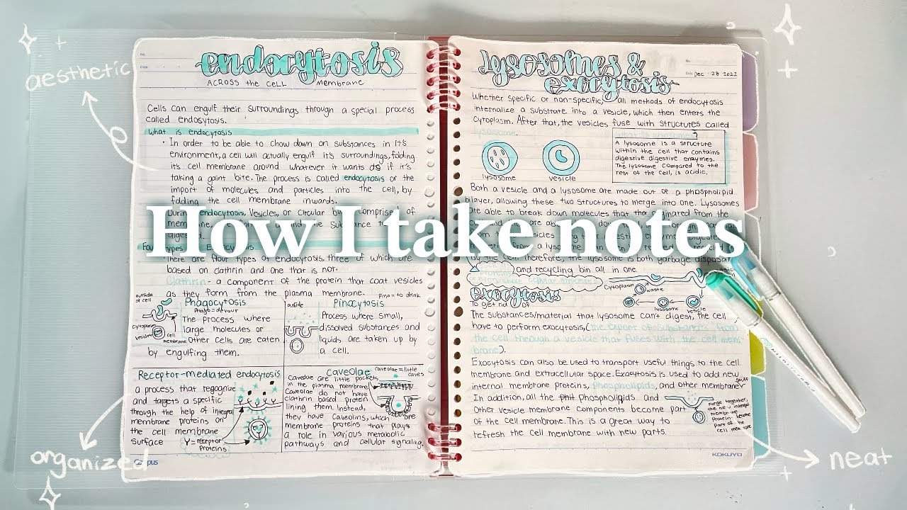 Note-taking The cornerstone of everyday learning